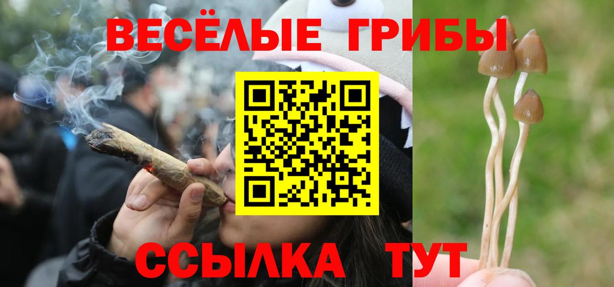 Галлюциногенные грибы GOLDEN TEACHER Вязники