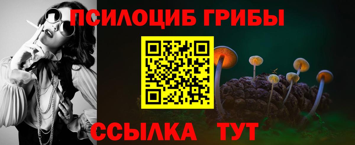 Псилоцибиновые грибы мицелий  Вход с VPN  Вязники  Галлюциногенные грибы Cubensis 